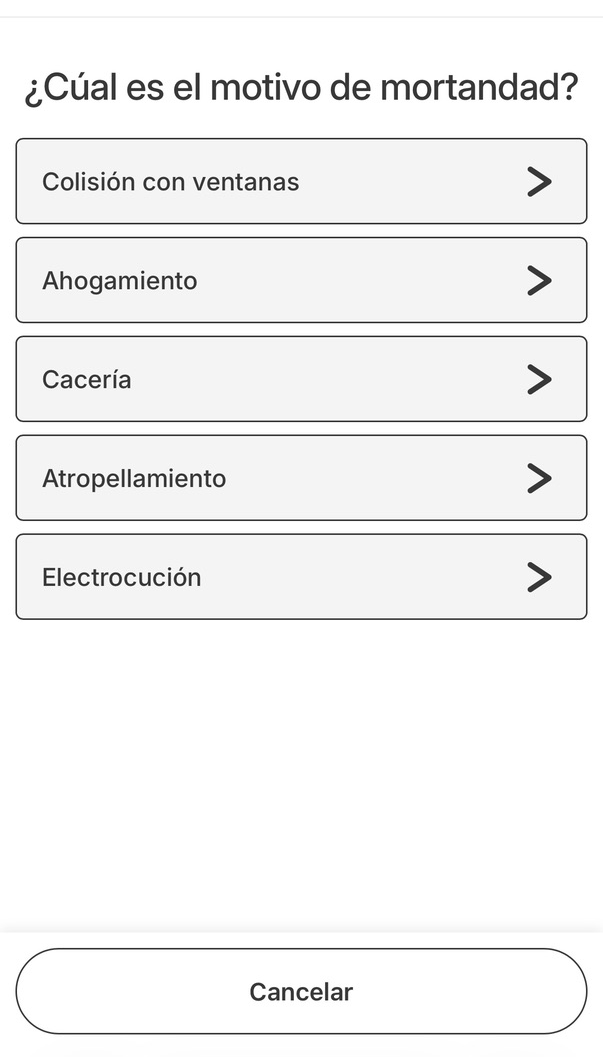 Pantalla de la aplicación: Elegí la causa